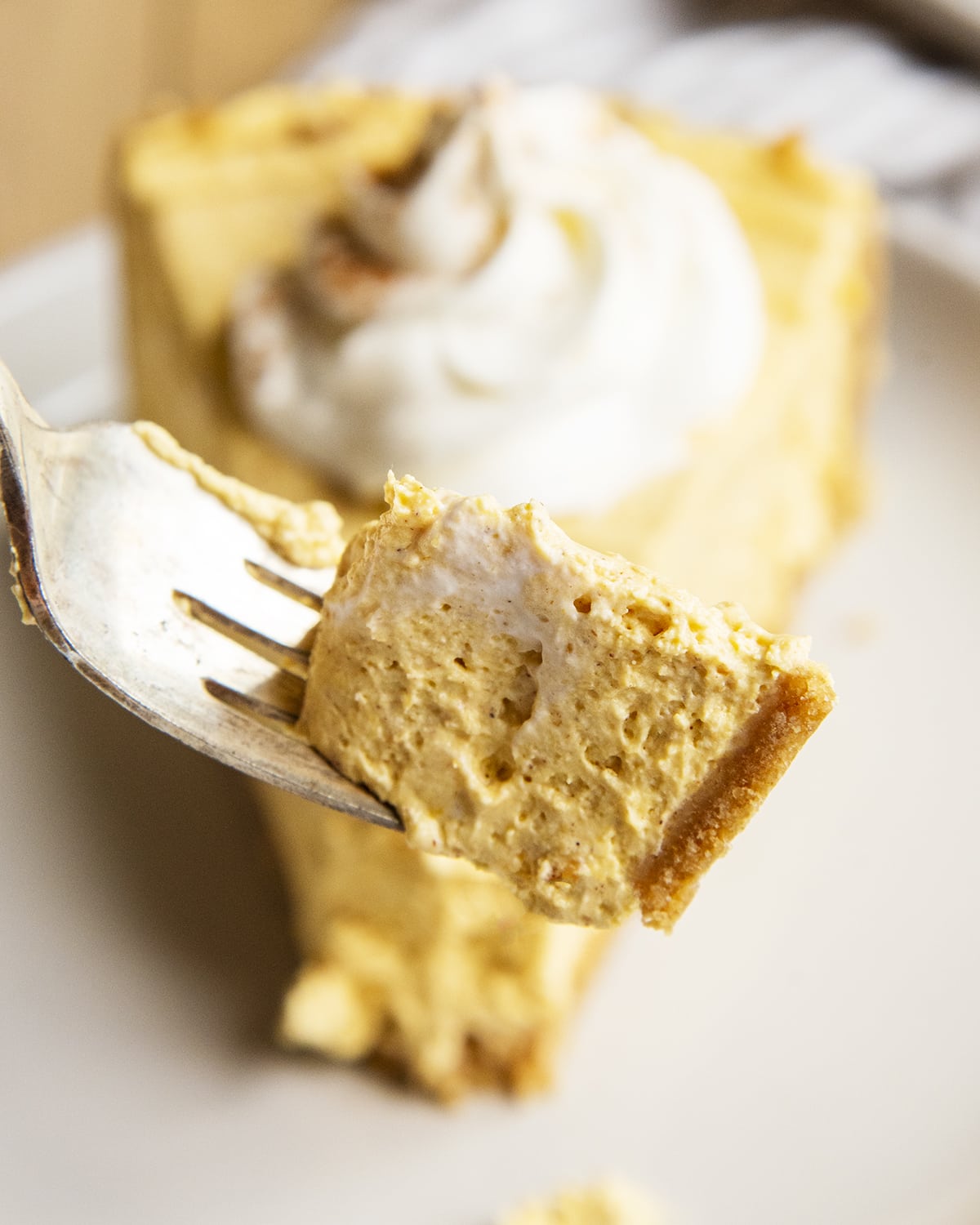 A bite of pumpkin cheesecake on a fork being held above the whole piece.