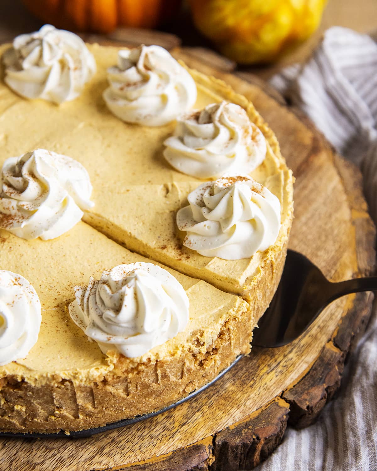 A no bake pumpkin cheesecake with a piece cut out of it, being slightly lifted out with a pie server.