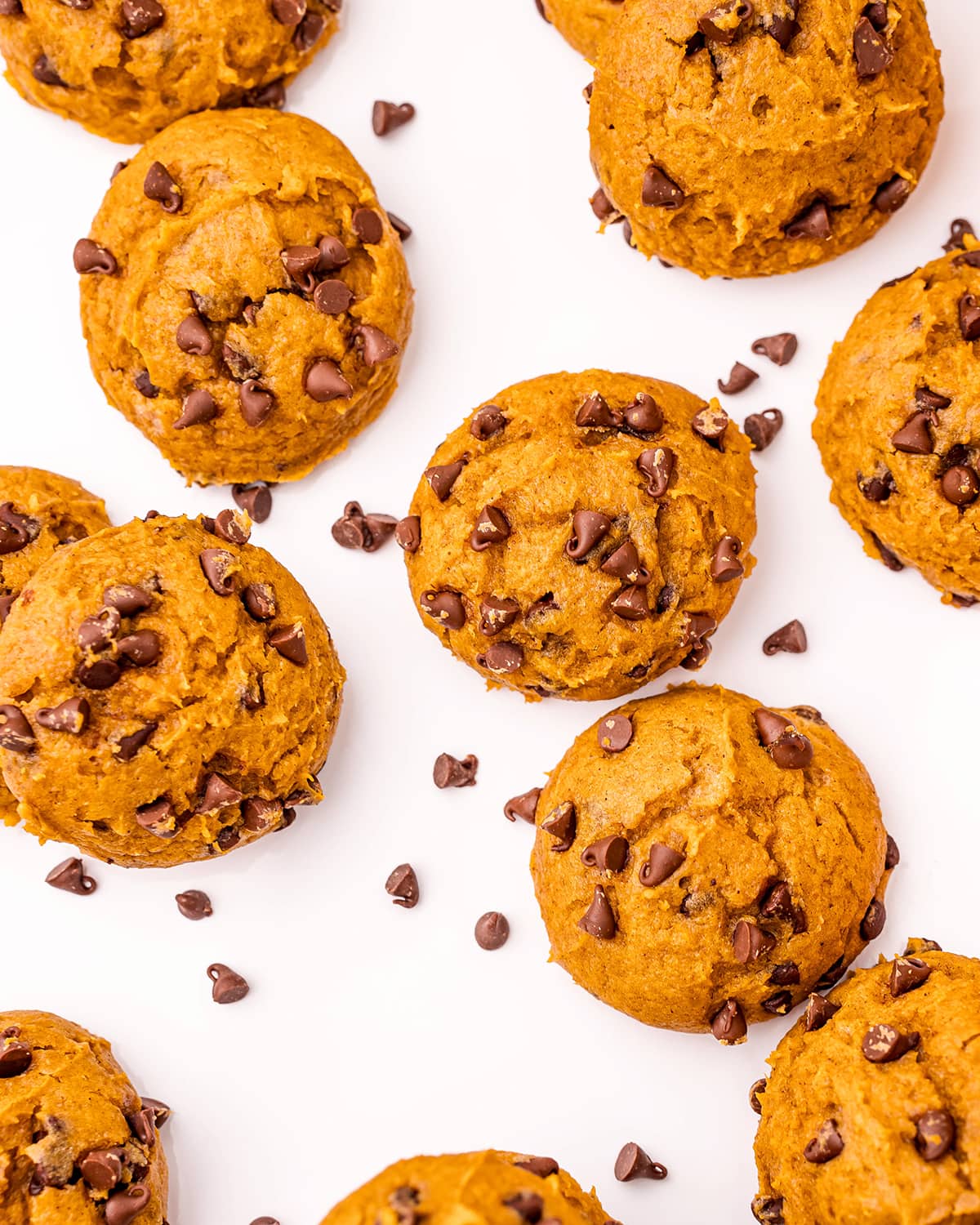 An overhead shot of pumpkin cake mix cookies, with chocolate chips in them.