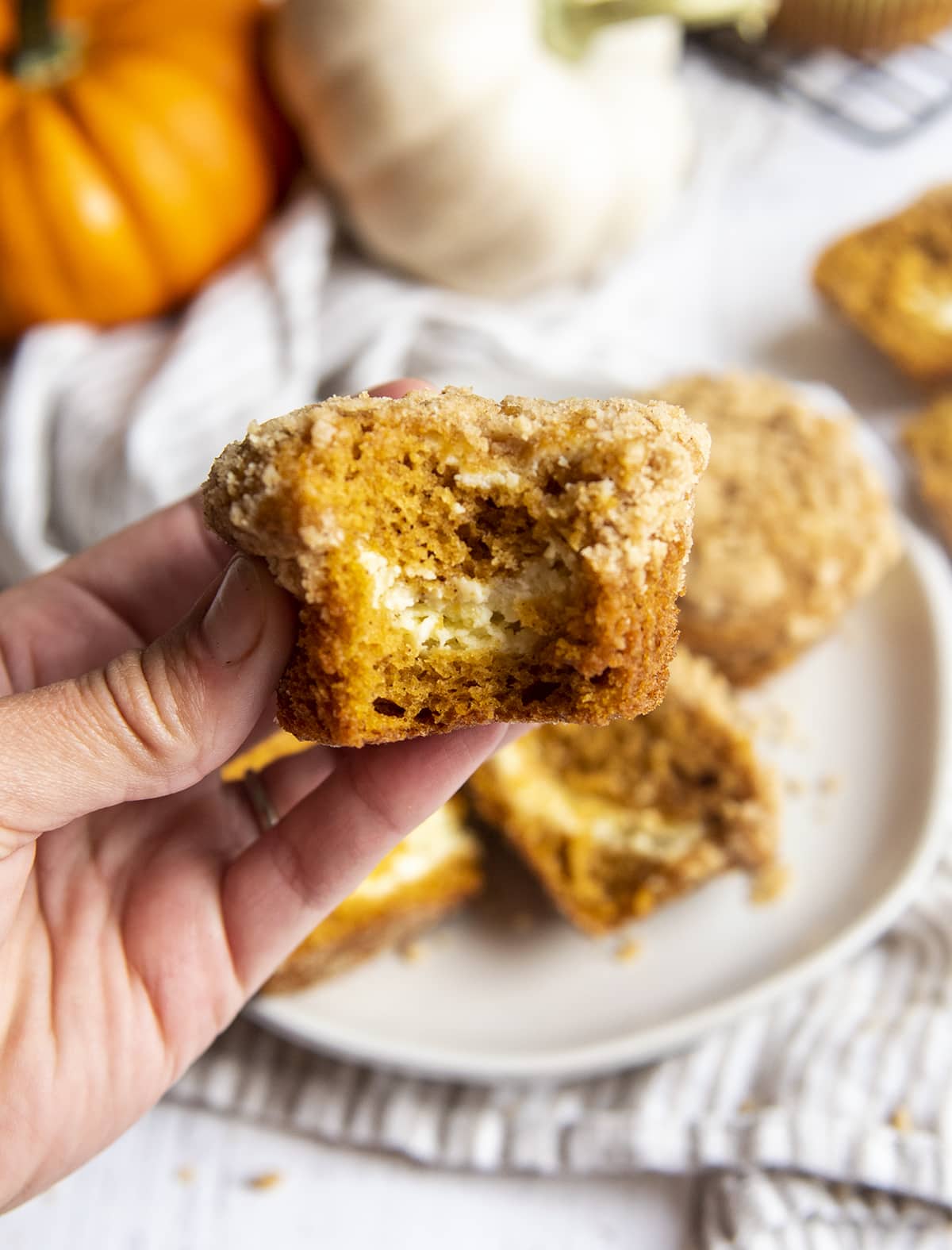 A hand holding a pumpkin muffin with a bite out of it showing a cream cheese swirl in the middle.