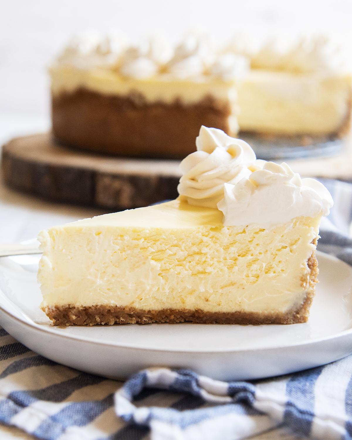 A side view of a slice of cheesecake showing the crust, thick cheesecake, and whipped cream on top.