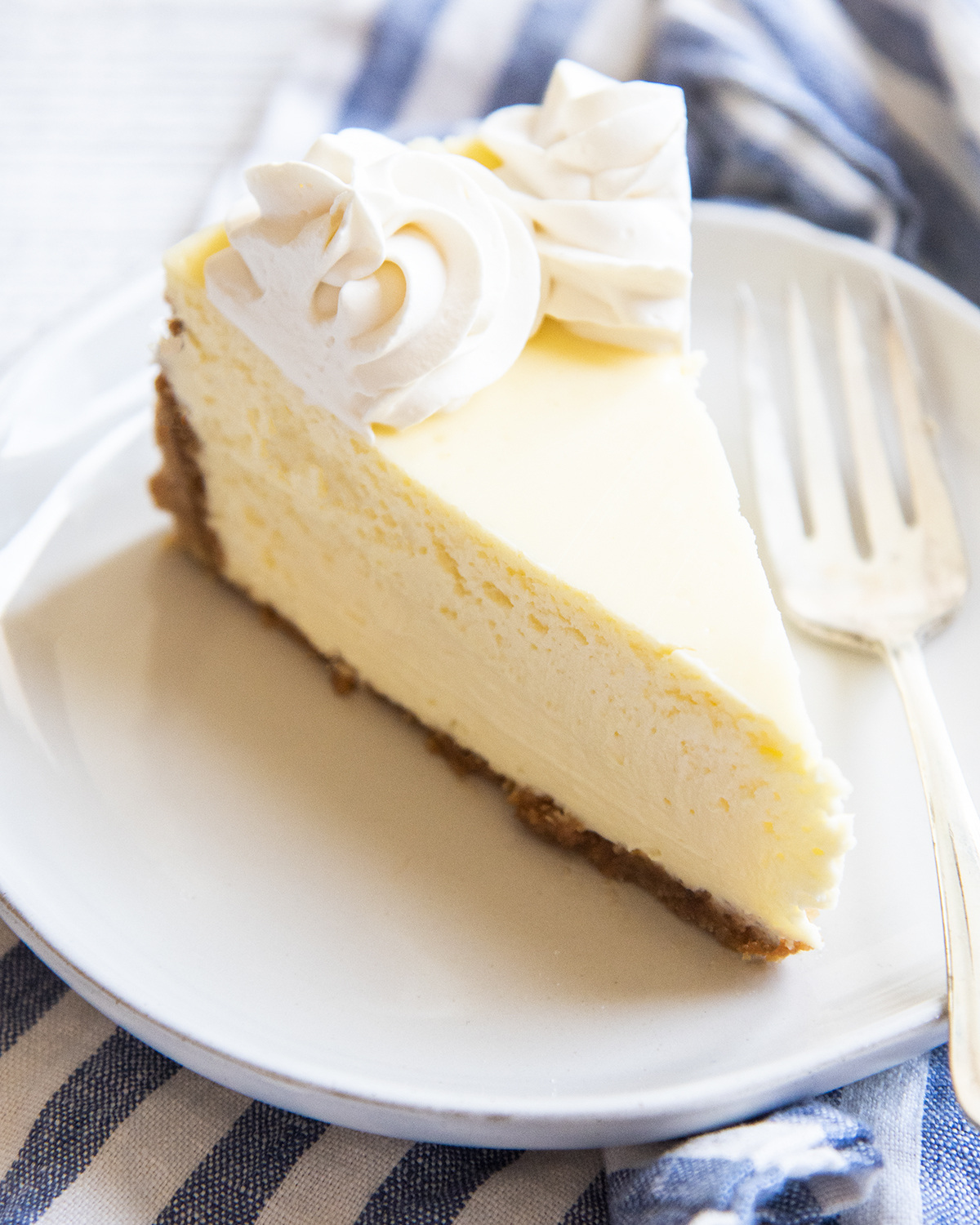 A slice of classic cheesecake on a plate topped with two rosettes of whipped cream on the end.