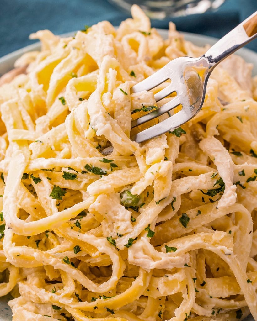 A close up of a plate of tetrazzini pasta with a fork in it.