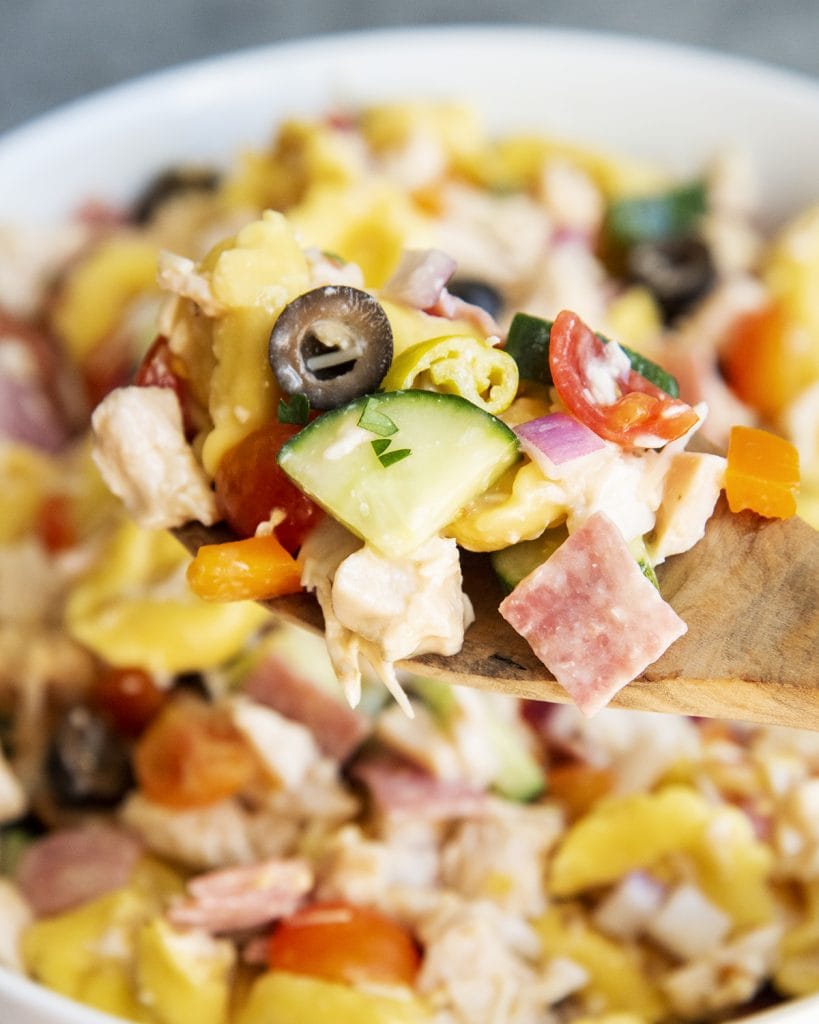A close up of a spoonful of tortellini pasta salad with cucumbers, tomatoes, salami, chicken, and tortellini.