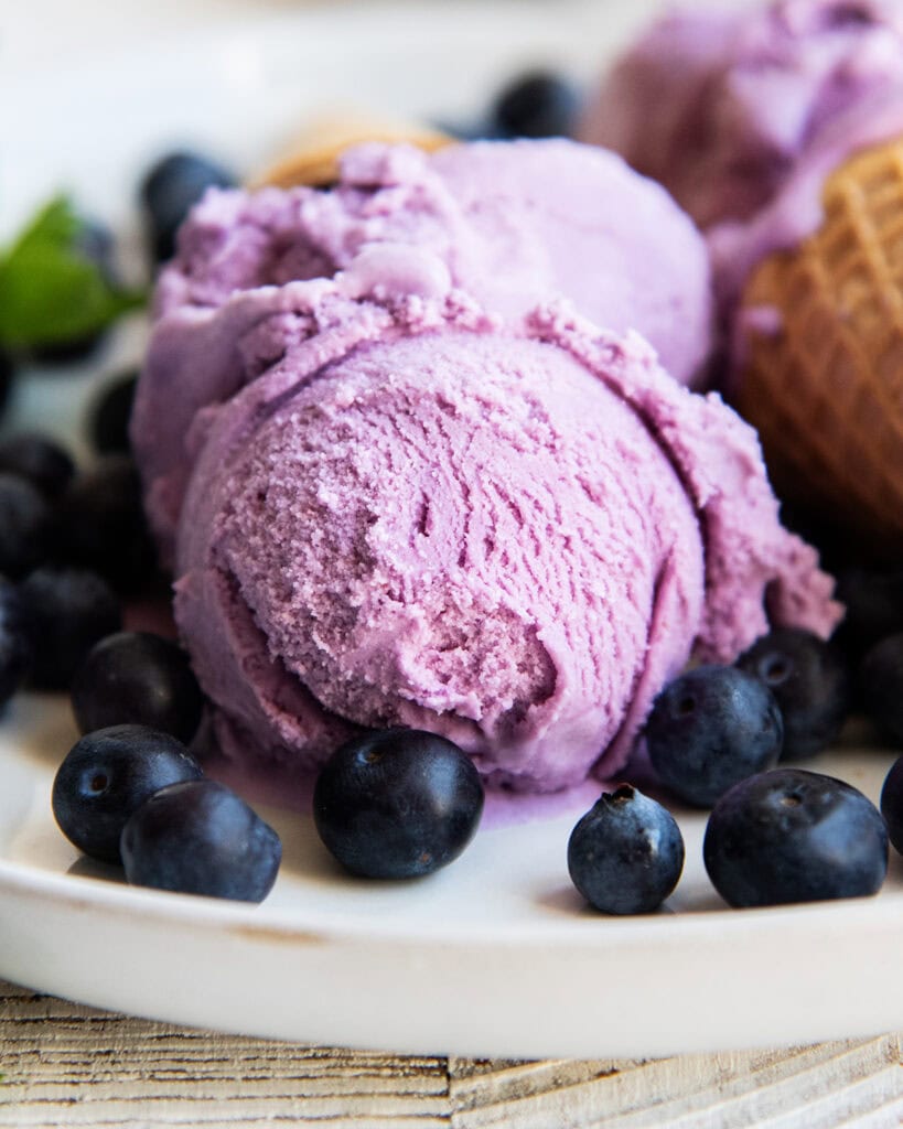 A close up of a scoop of blueberry ice cream on a plate.