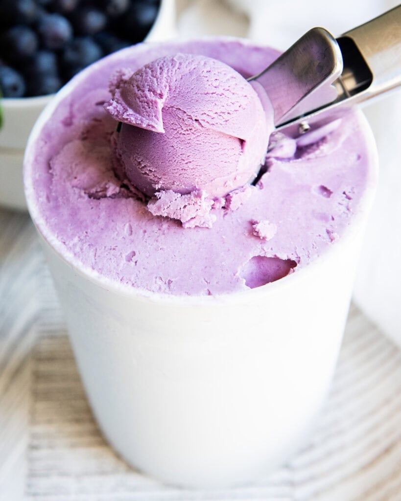A container of blueberry ice cream with an ice cream scoop full on top.