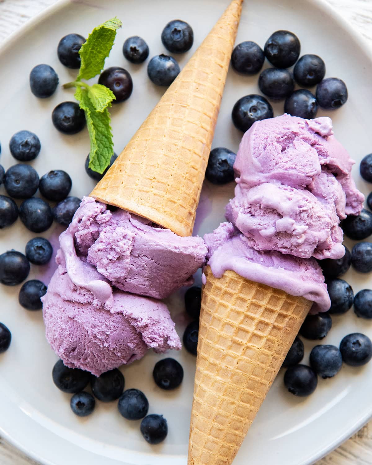 Two ice cream cones full of blueberry ice cream on a plate with fresh blueberries on the plate.