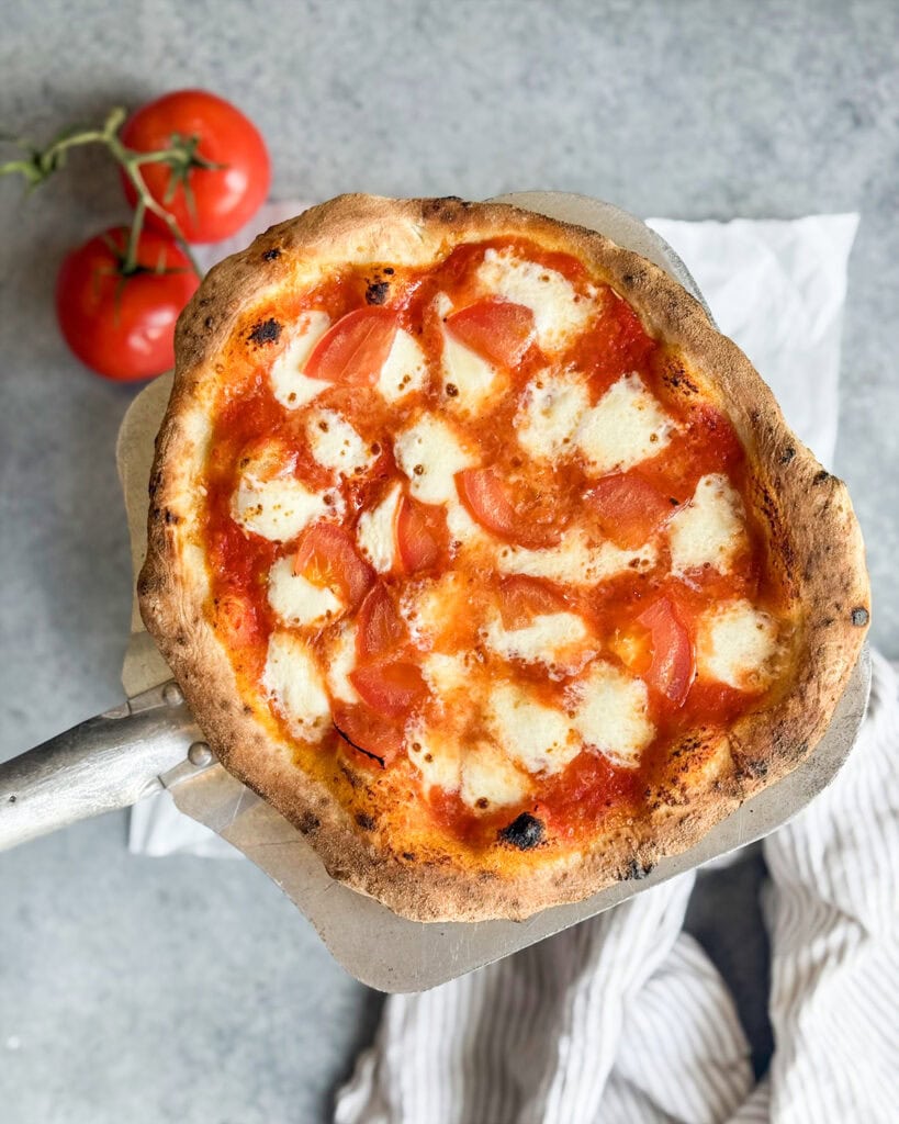 A margherita pizza taken out of the oven on a pizza peel.
