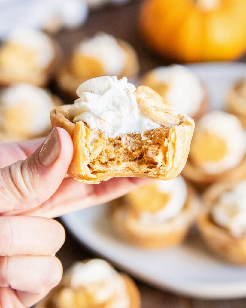 A hand holding a mini pumpkin pie topped with whipped cream, and it has a bite taken out of it showing the pumpkin pie filling.