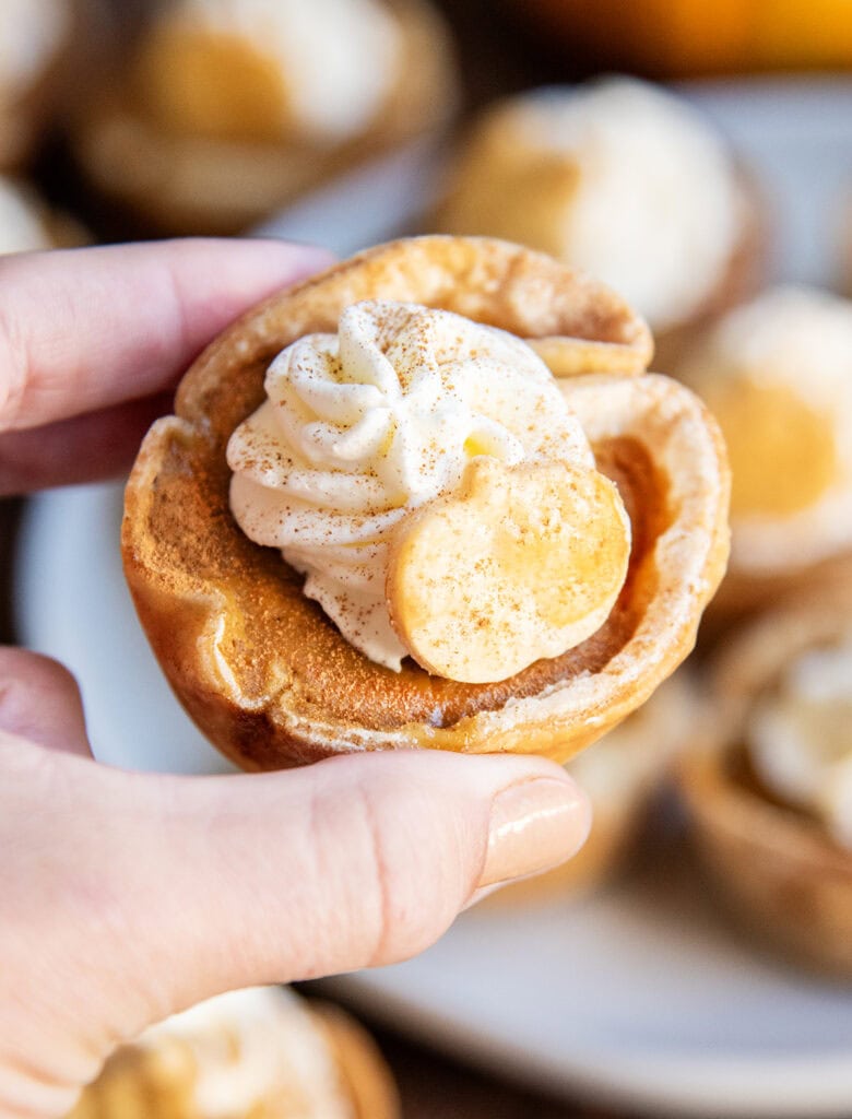 A hand holding a mini pumpkin pie topped with whipped cream.